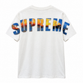 SUPREME CRASH TEE