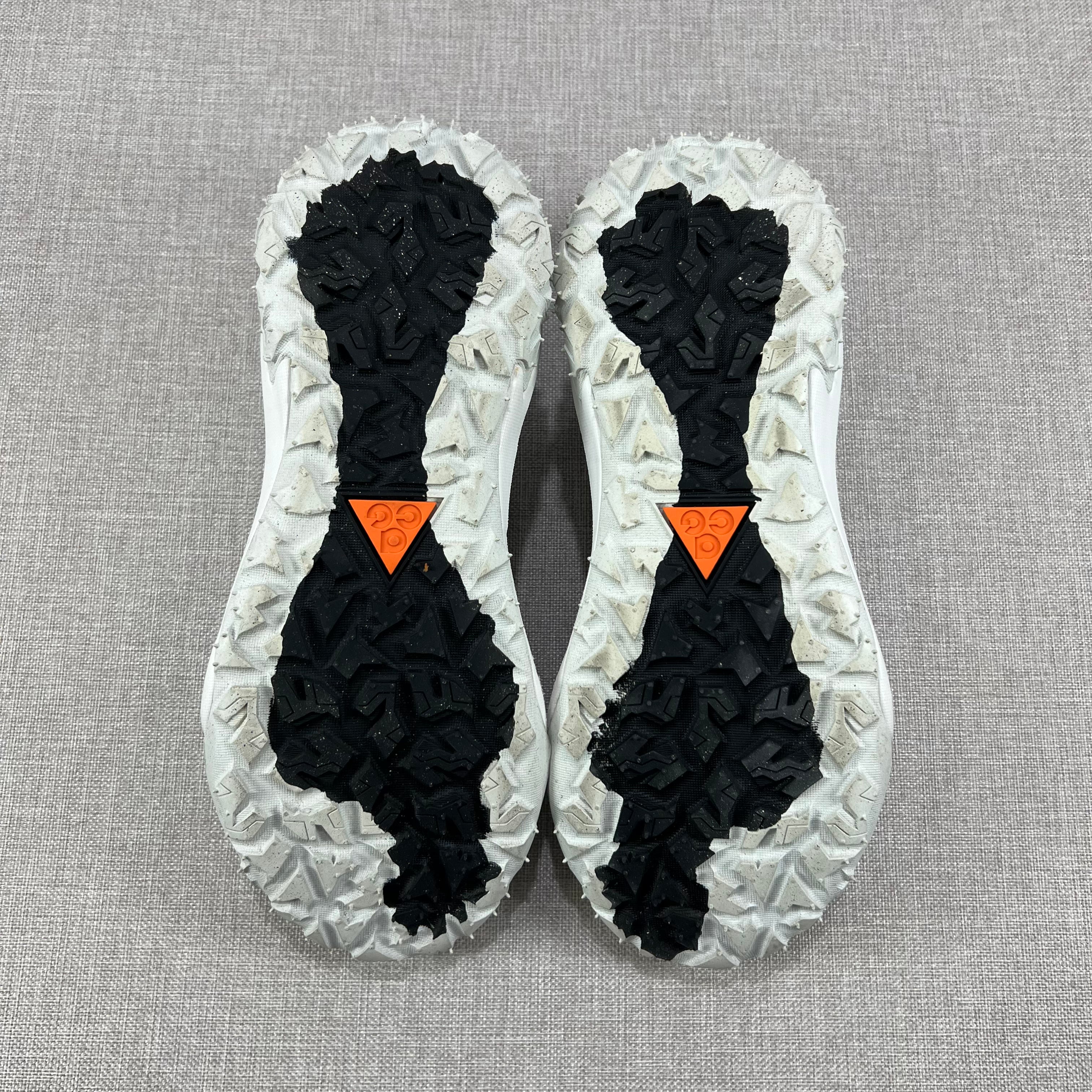 NIKE ACG MOUNTAIN FLY 2 LOW