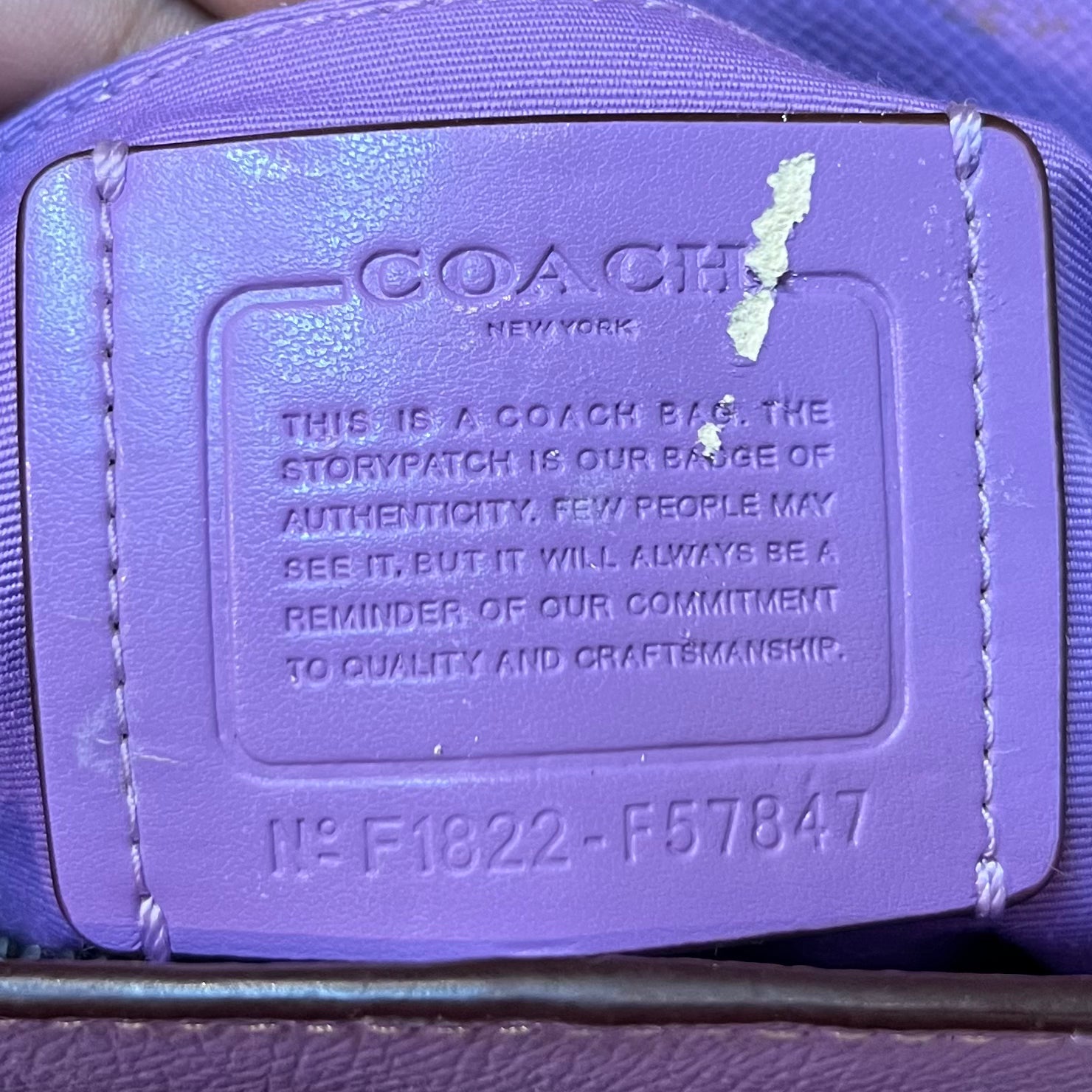 COACH CHRISTIE CARRYALL