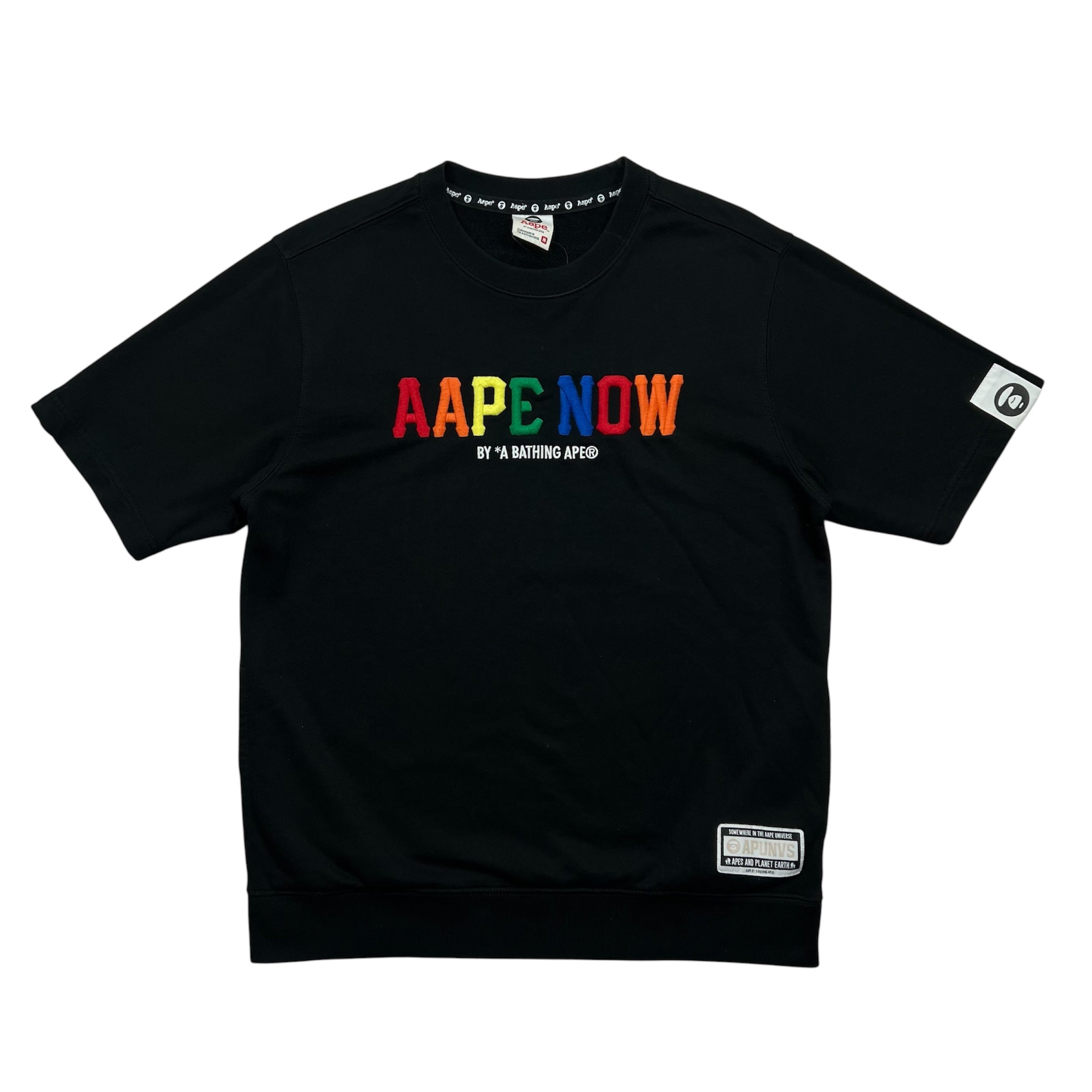 AAPE NOW RAINBOW LOGO