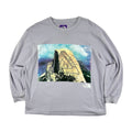 PALACE X NORTH FACE PURPLE LABEL
