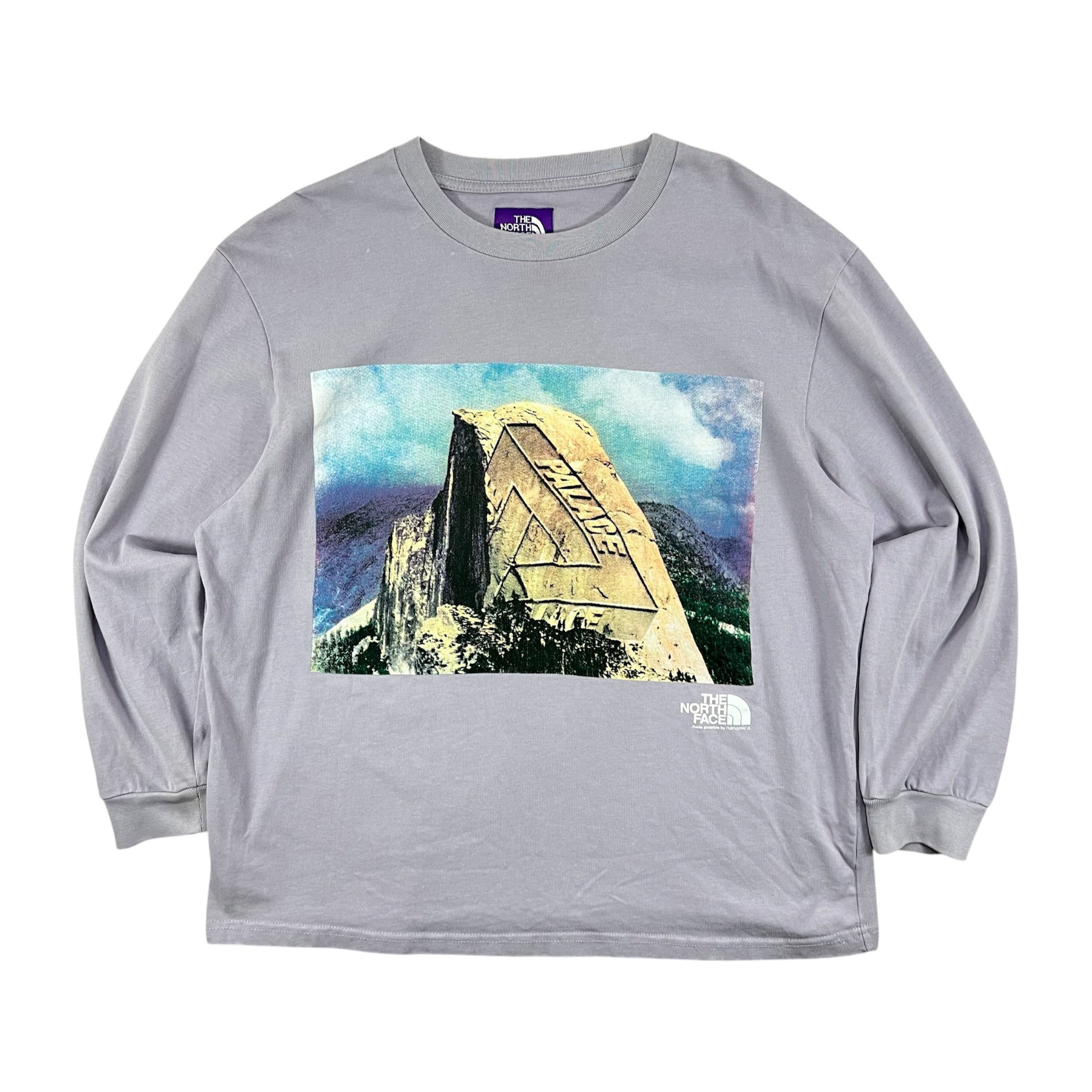 PALACE X NORTH FACE PURPLE LABEL