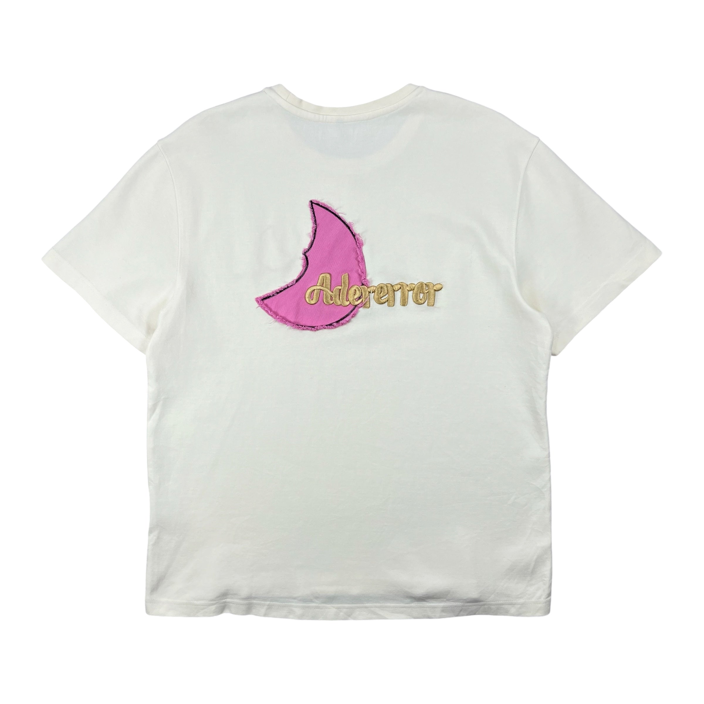 DRAFT